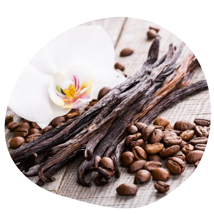 Café et Vanille ingrédients NEA MAMA