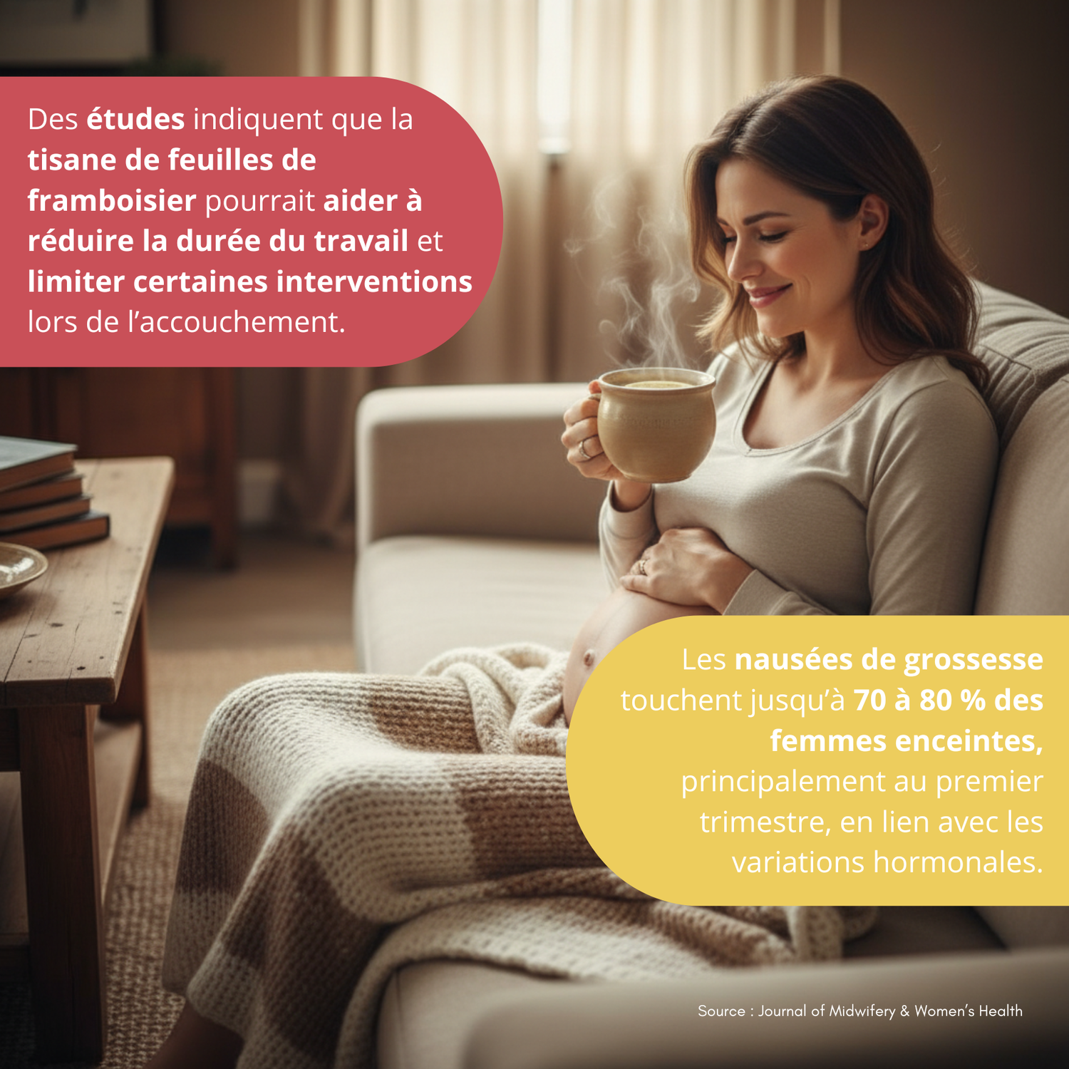 Duo tisanes de grossesse