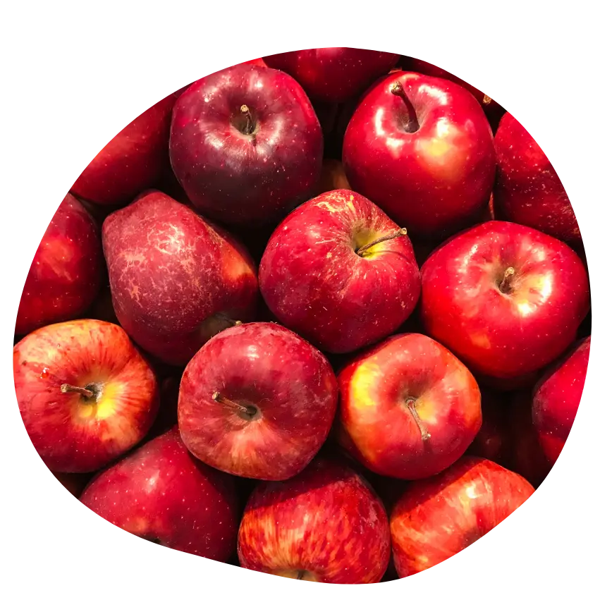 Pomme ingrédients NEA MAMA