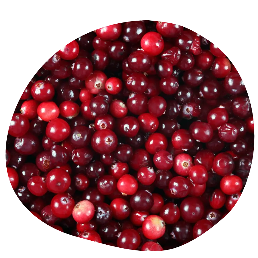 Cranberries 