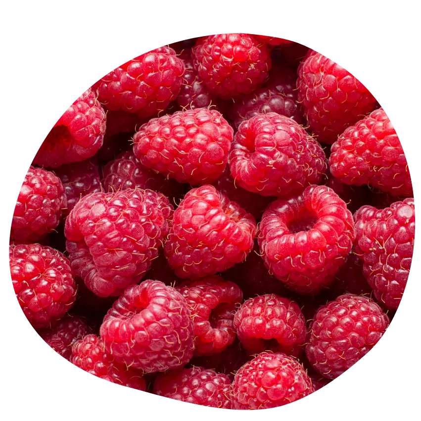 framboisier