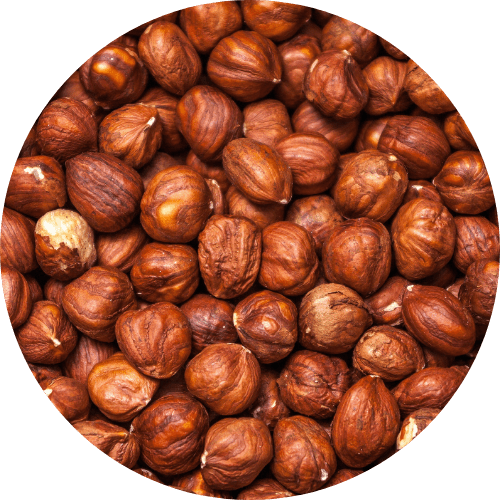noisette